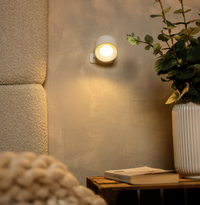 The Lysa Wall Light